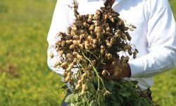 Tarımda su kıtlığının önüne geçebilmenin en iyi yolu; modern sulama sistemleri