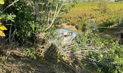 Tarlaya yuvarlanan otomobilin sürücüsü öldü