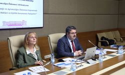 TİHEK İkinci Başkanı Carti: Ayrımcılık temelli başvuruların yüzde 20'si engelli bireylerden