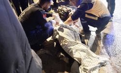 TIR, kırmızı ışıkta bekleyen otomobile çarptı: 1 ölü, 3 yaralı