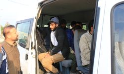 Tokat - Durdurulan TIR'dan 11 kaçak göçmen çıktı /Video eklendi