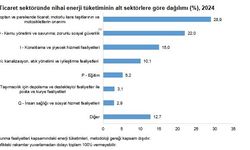 TÜİK: Hizmet-ticaret sektörünün yıllık enerji tüketimi 501 bin 104 terajul
