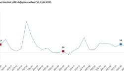 TÜİK: Hizmet üretim endeksi eylülde yıllık yüzde 3,1 arttı