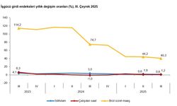 TÜİK: İstihdam endeksi yıllık yüzde 1,2 arttı