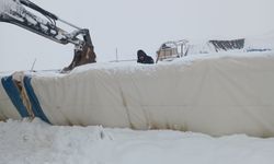Üzerindeki karın ağırlığını taşıyamayan çadır çöktü, 8 koyun öldü