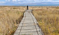 Van Gölü'ndeki çekilme fotoğraflarda