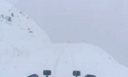 Van'da Karabet Geçidi'nde kar yağışı etkili oldu