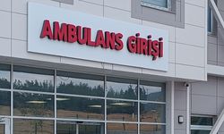 Yalnız yaşadığı evinde ölü bulundu