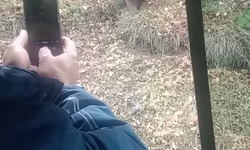 Yol kenarında gördükleri bozayıyı kameraya aldılar