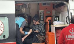 Yolcu minibüsü şarampole devrildi: 15 yaralı