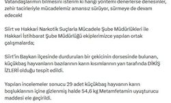 29 küçükbaşın karın boşluğuna gizlenmiş 54,6 kilo metamfetamin ele geçirildi: 2 gözaltı