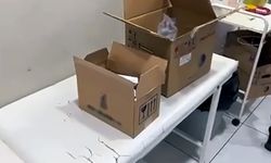 Adana'da ruhsatsız 2 muayenehaneye operasyonda 3 gözaltı