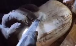 Ağrı'da uyuşturucu operasyonu: 5 tutuklama