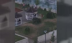 Ankara'da 2 kardeşe saldıran pitbullun sahibi tutuklandı (5)