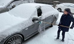 Ardahan'da kar yağışı ulaşımı etkiledi (2)