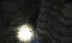 Avcılar, uçurumdan yuvarlanan köpeği kurtardı