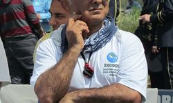 Aydın ve İzmir'de 457 caretta caretta yavrusu denizle buluştu