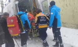 Batman'da 203 yerleşim yerinin yolu kardan kapandı (2)