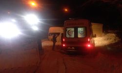 Batman'da 203 yerleşim yerinin yolu kardan kapandı (3)