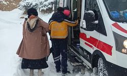 Batman'da 203 yerleşim yerinin yolu kardan kapandı