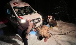 Bingöl'de 20 köy yolu kardan kapandı (2)