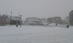 Bingöl'de kar yağışı; 100 köy yolu ulaşıma kapandı (2)