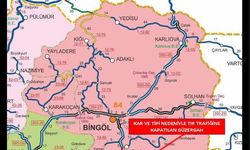 Bingöl'de kar yağışı; 100 köy yolu ulaşıma kapandı (3)