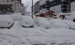 Bitlis'te 203 köy yolu açıldı