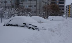 Bitlis'te kar nedeniyle 290 köy yolu ulaşıma kapandı