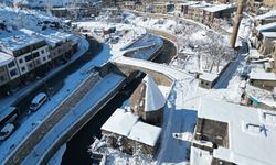 Bitlis'te karla mücadele çalışmaları sürüyor