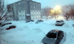 Bitlis'te yüksek gerilim hattında zorlu kış mesaisi (2)