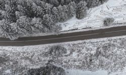 Bolu ormanlarında kar manzarası