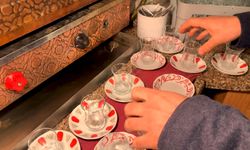 ‘Boyalı çay’a kapsamlı denetim ve inceleme