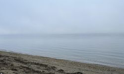 Çanakkale Boğazı, sis nedeniyle çift yönlü olarak ulaşıma kapatıldı