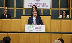 DEM Parti'li Bakırhan: Çözümü tartışmak varken anlamsız kavgalara başvurmak siyasetsizliktir