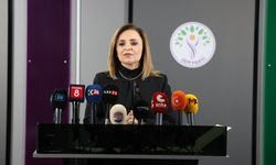 DEM Parti'li Doğan: Her şey gizlenmeden paylaşılmalı