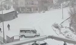 Diyarbakır'da kar yağışı (2)