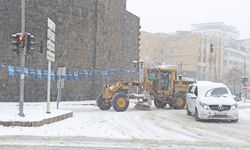 Diyarbakır'da kar yağışı