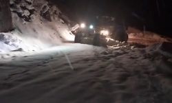 Diyarbakır'ın 4 ilçesinde kar yağışı etkili oldu