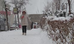 Doğu buz kesti; 2 ilçe eksi 25 dereceyi gördü