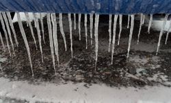 Doğu buz kesti; 2 ilçe eksi 25 dereceyi gördü/Ek fotoğraflar