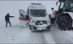 Doğu ve Güneydoğu'da kar etkili oldu (4)