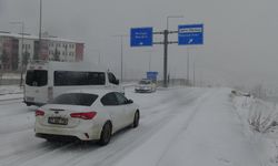 Doğu ve Güneydoğu'da kar etkili oldu (5)