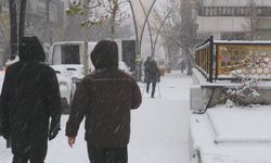 Doğu ve Güneydoğu'da kar etkili oldu