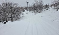 Elazığ'da 311 köy yolu, kardan ulaşıma kapandı
