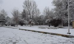 Erzincan'da kar yağışı