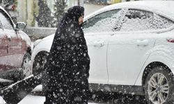 Erzurum'da soğuk hava ve kar yağışı etkili oluyor (2)