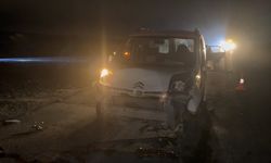 Hafif ticari araç, sürüye çarptı; sürücü yaralı, 12 koyun öldü