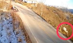 Hafif ticari aracın fındık bahçesine uçtuğu kaza kamerada