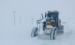 Hakkari'de 281 yerleşim yeri ulaşıma kapandı; okullara 'kar' tatili